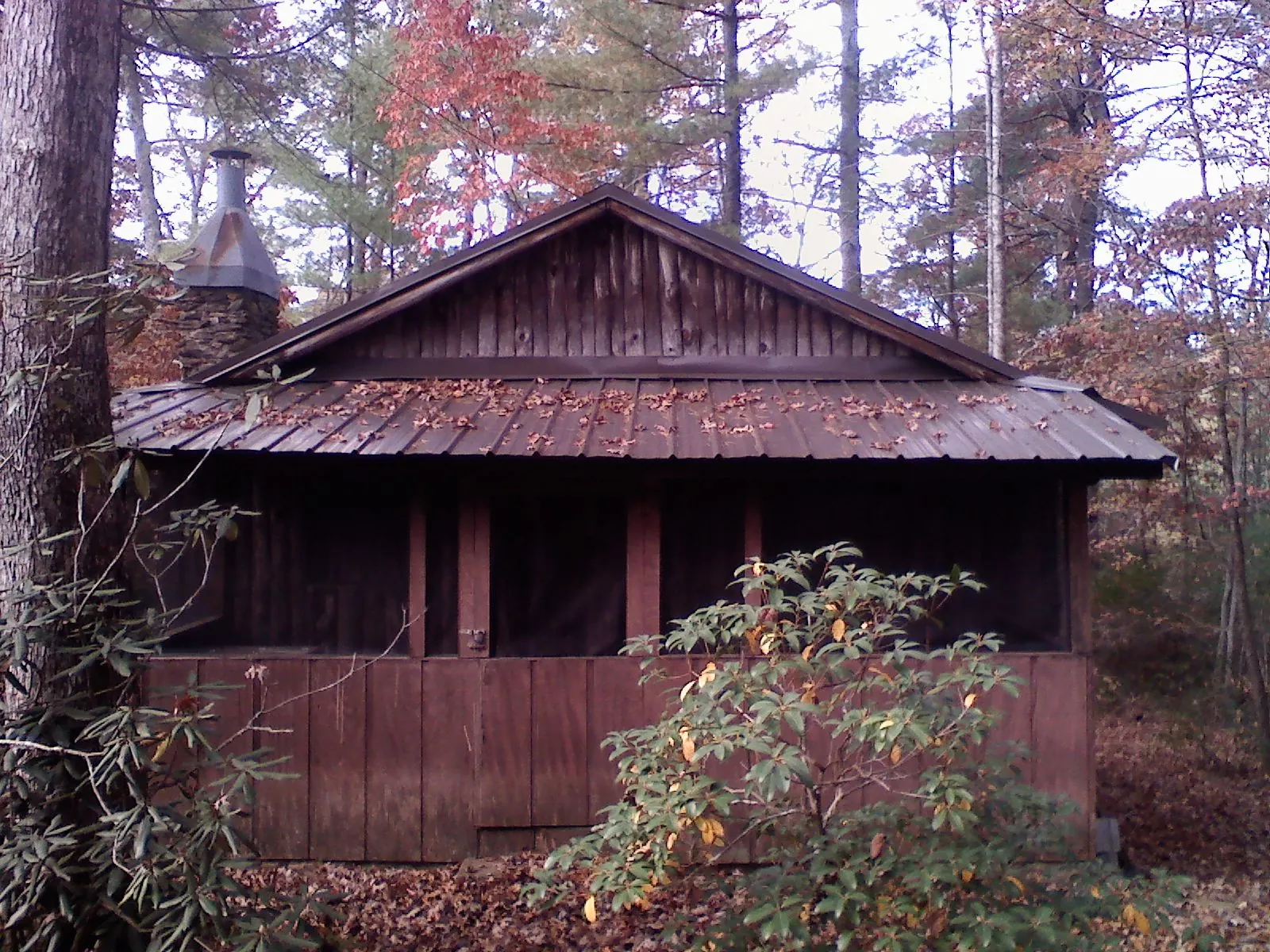 Metal roof over the screened porch of a rustic cabin in Darragh
