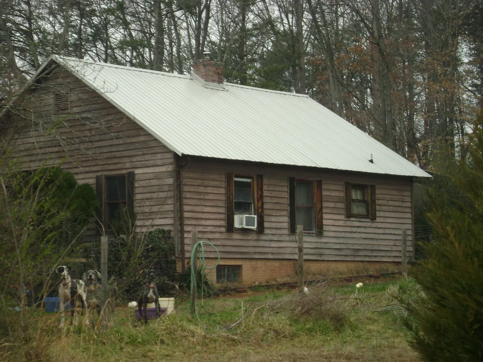 White metal roof on an old wood sided farmhouse, from a Asphalt Shingle Roof Repair job in Darragh